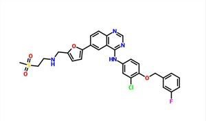 Lapatinib CAS 231277-92-2