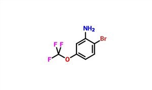 4-Bromo-3-aminotrifluorométhoxybenzène CAS 887267-47-2