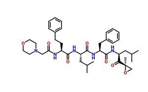 Carfilzomib CAS 868540-17-4