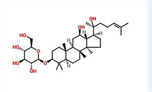 Ginsénoside Rh2 CAS 78214-33-2