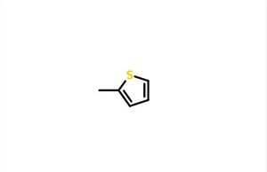 Méthylthiol CAS 554-14-3
