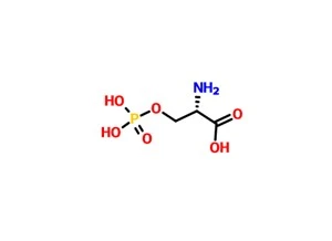 O-Phospho-L-sérine CAS 407-41-0
