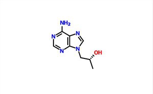 (R)-(+)-9-(2-hydroxypropyl)adénine CAS 14047-28-0