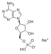 Adénosine 5'-monophosphate Sel monosodique CAS 13474-03-8