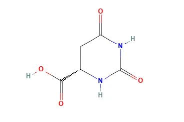 Acide L-4,5-dihydroorotique CAS 5988-19-2